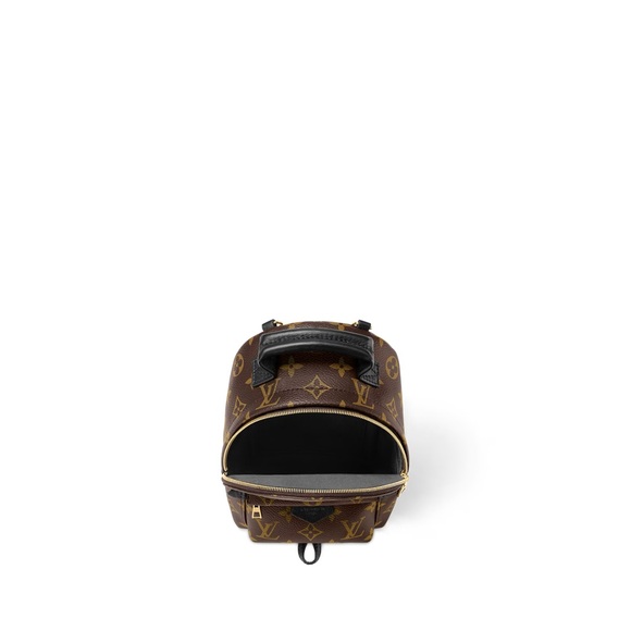 Louis Vuitton Backpack - Picture 4 of 5